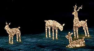 Florida Christmas Lights And Outdoor Manger Installation