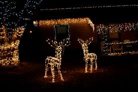 Christmas light installation services done in Miami, FL