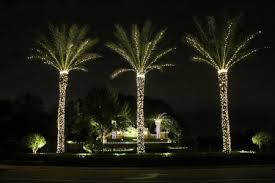 Florida Christmas Tree Lighting Installation